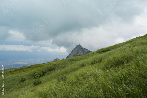 Obraz na płótnie Mountain meadow in the Polish Tatras w salonie