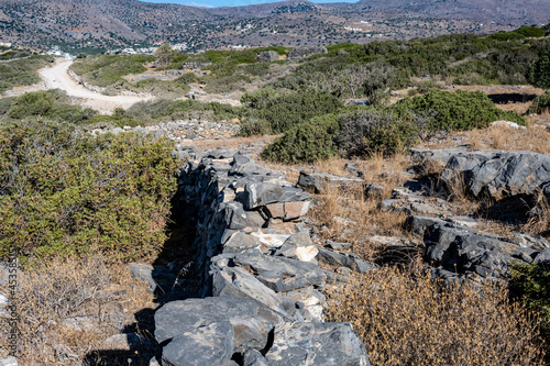 ypical rural landscape with olive trees and mountains of Crete  photo