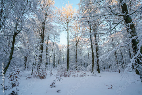 Schnee im Spessart