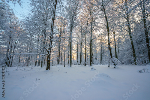 Schnee im Spessart © Joachim Berninger