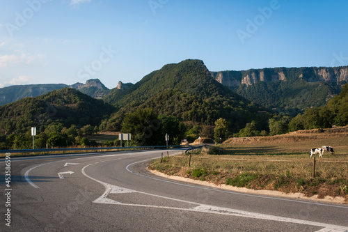 Una carretera pasa por un terreno montañoso con un prado con vacas pastando