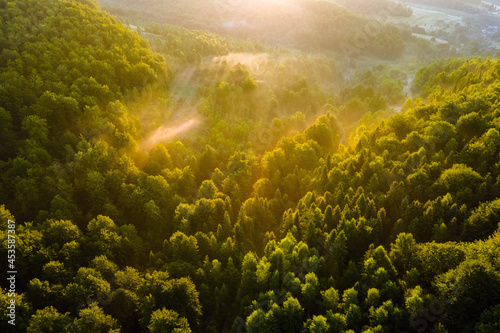 Aerial view of bright foggy morning over dark forest trees at warm summer sunrise. Beautiful scenery of wild woodland at dawn.