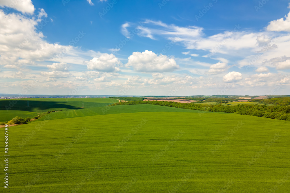 Aerial landscape view of green cultivated agricultural fields with growing crops on bright summer day. Aerial landscape view of green cultivated agricultural fields with growing crops on bright summer day.