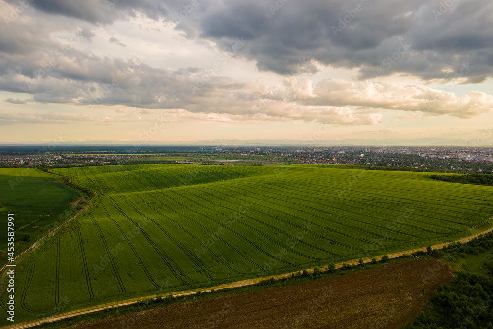 Aerial landscape view of green cultivated agricultural fields with growing crops on bright summer evening.