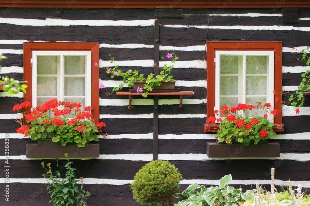 Traditional european rural wooden house , windows with geranium flowers