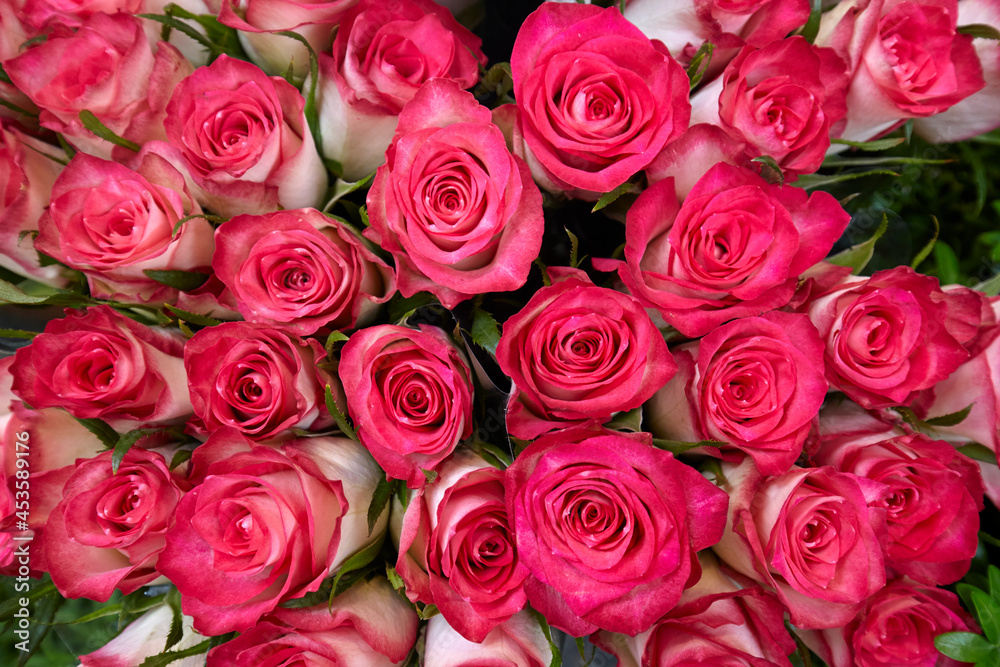 Detail of a bunch of red roses Detail of a bunch of red roses