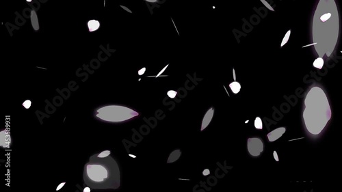 桜の花びらが舞う