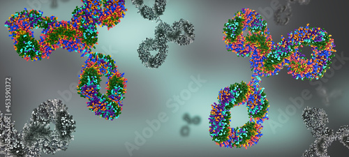 Multicolored antibodies or immunoglobulin protein structures - 3d illustration photo
