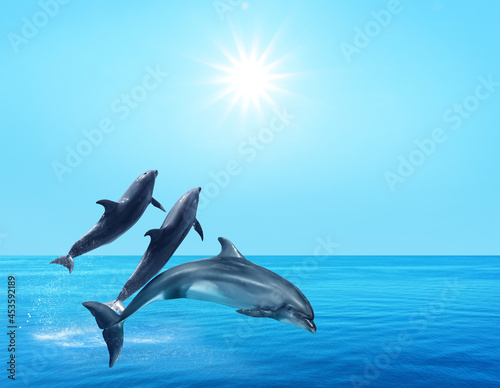 Beautiful bottlenose dolphins jumping out of sea with clear blue water on sunny day