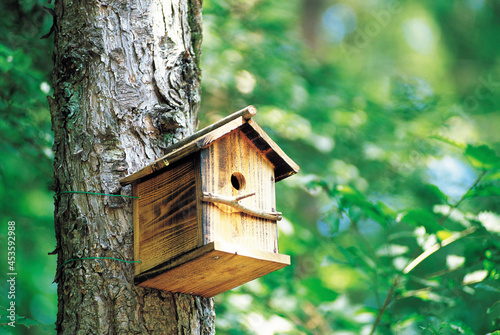 Fotobehang wooden bird house