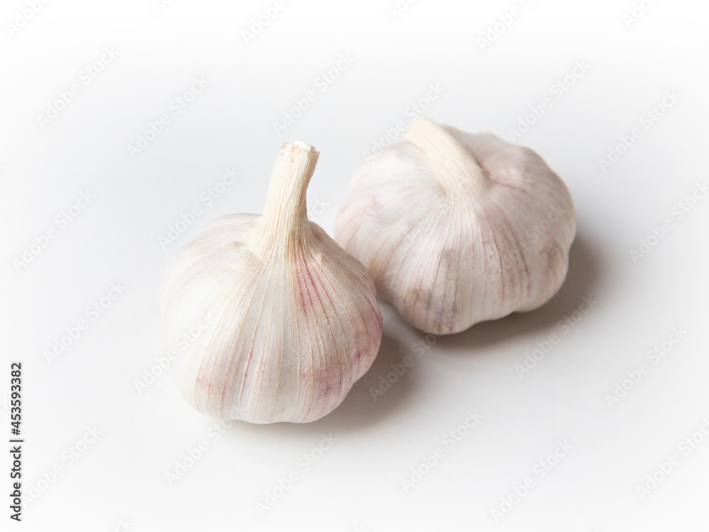 Garlic Isolated on white background Garlic Isolated on white background