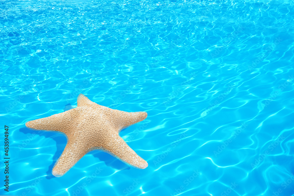 Beautiful sea star on clear blue water Beautiful sea star on clear blue water