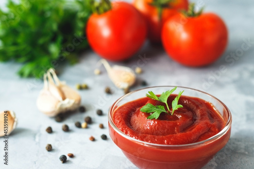 Tomato ketchup sauce with garlic, spices and herbs with tomatoes in a glass bowl on gray stone background.