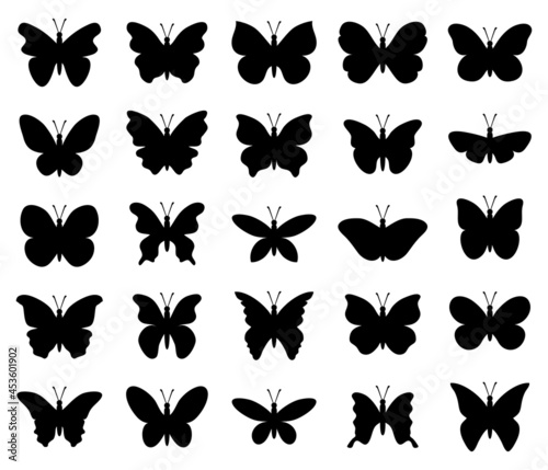vector beautiful butterfly insect icons isolated on white background. silhouette of tropical butterflies. summer nature illustration