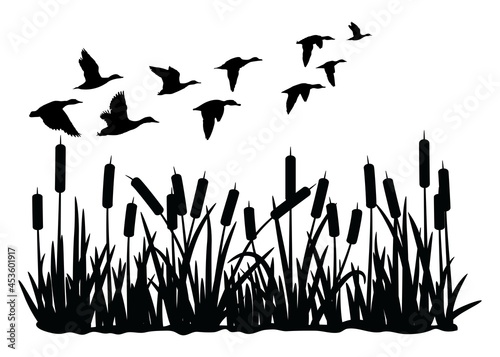 Fotobehang vector silhouette of duck bird flock flight over marsh herbs isolated on white background