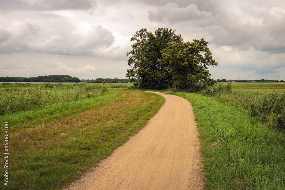 Curved sandy path through a Dutch peat meadow area in the province of North Brabant. It is summer but the sky is overcast.