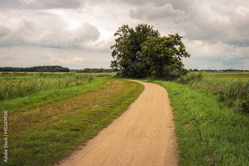 Curved sandy path through a Dutch peat meadow area in the province of North Brabant. It is summer but the sky is overcast.