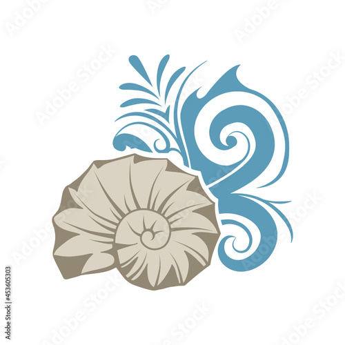 seashell nautilus