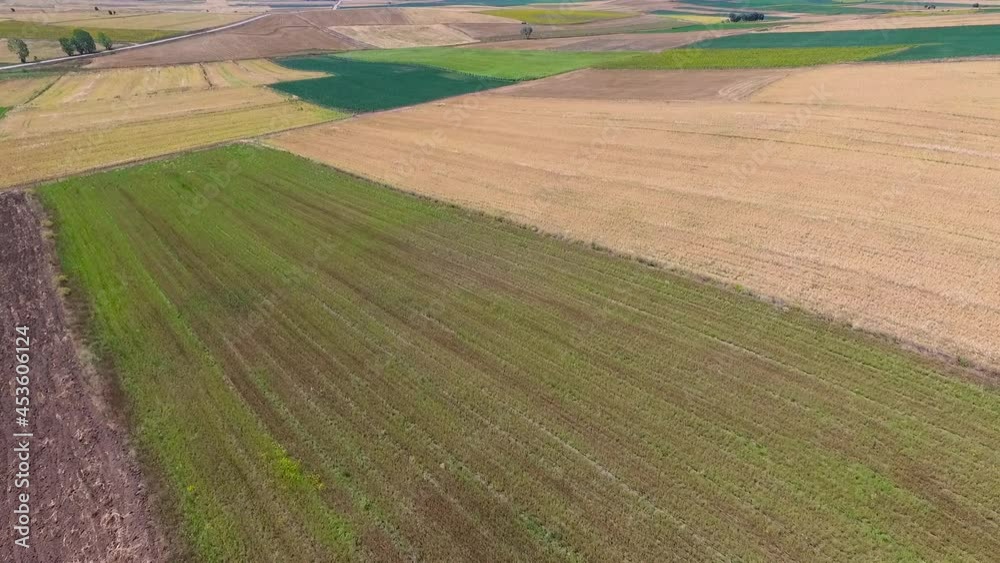 Cultivated farmland. Field. Aerial view of the field. Cultivated farmland. Field. Aerial view of the field.