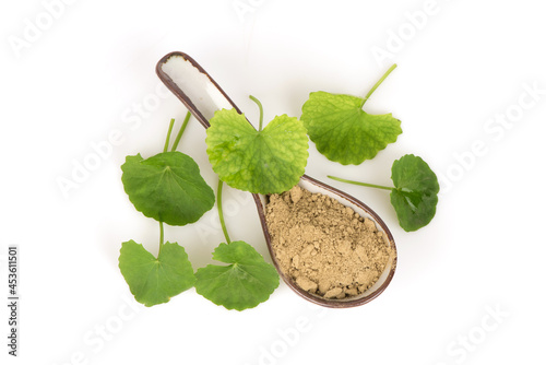 Gotu kola or centella asiatica green leaves and powder isolated on white surface.