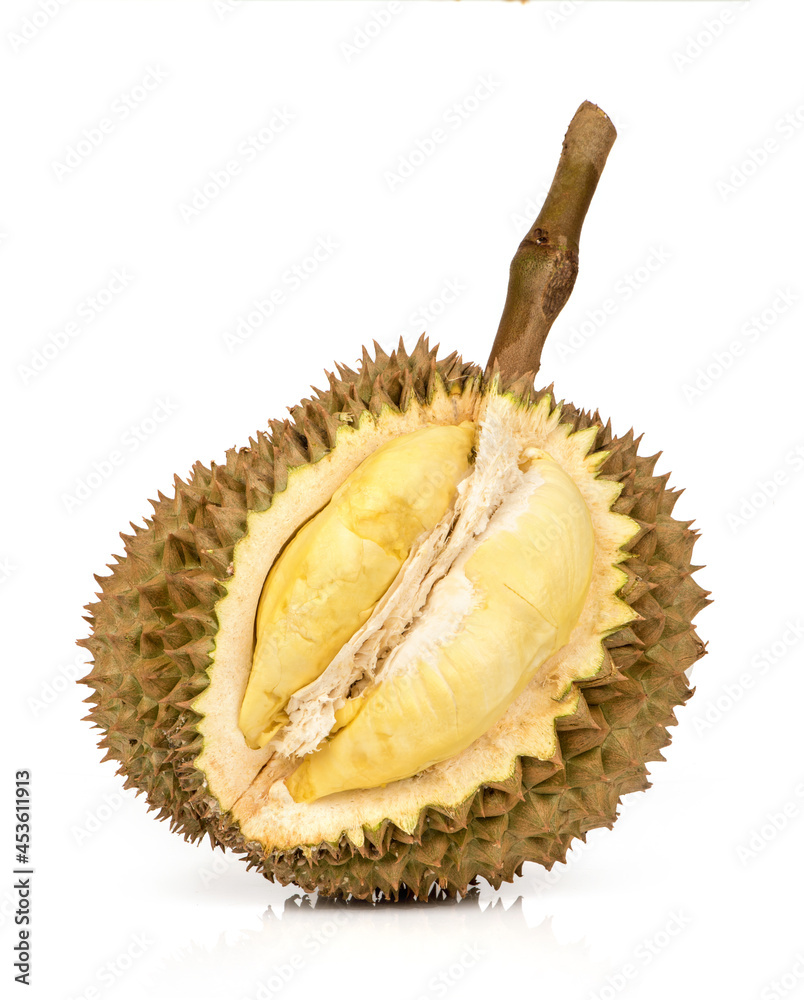 Fototapeta premium Durian or durio fruit isolated on white surface.