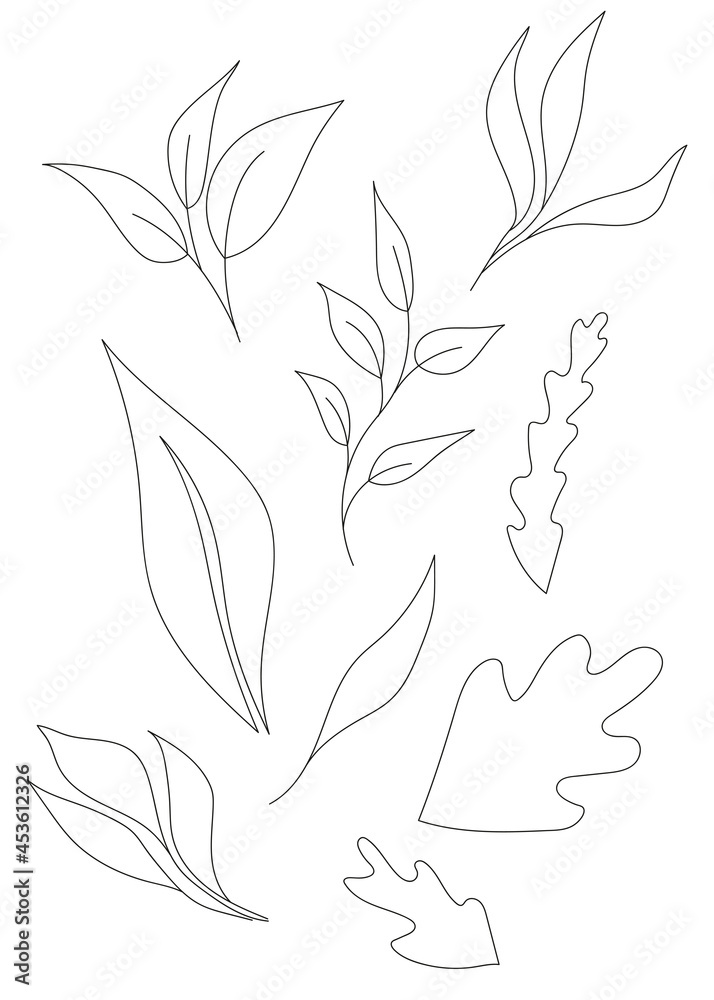 Leaves, hand drawn leaves, linear decoration elements