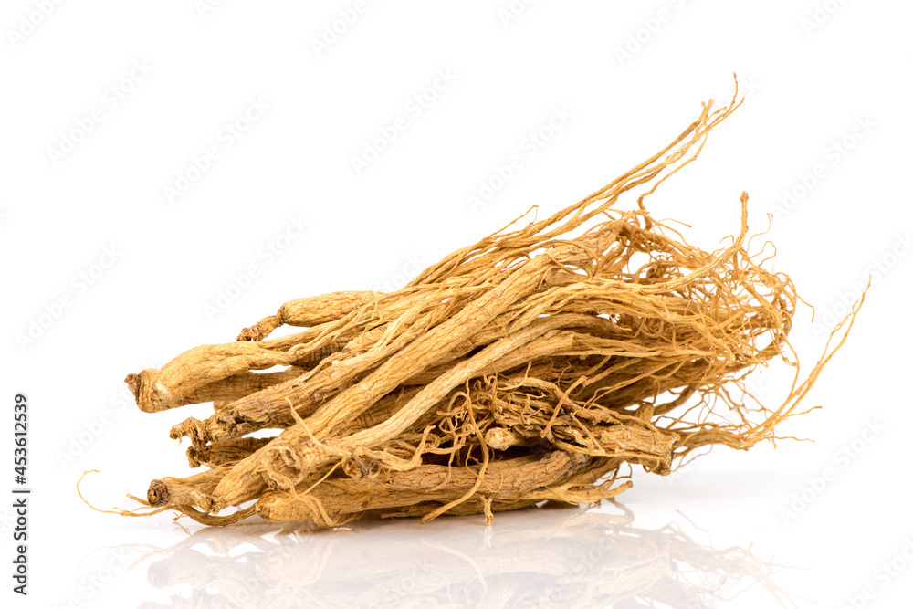 Ginseng isolated on white background.