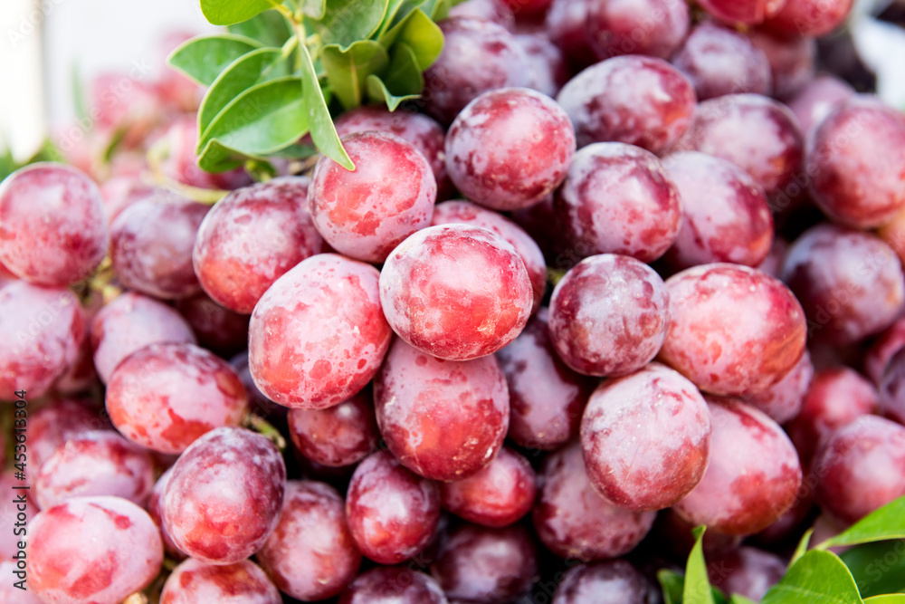 Grape fruits on nature background. Grape fruits on nature background.