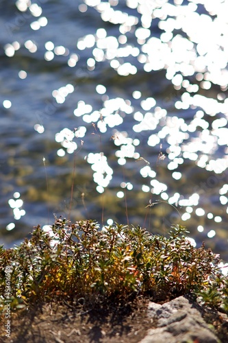 Plan eau reflet soleil - nature biodiversité