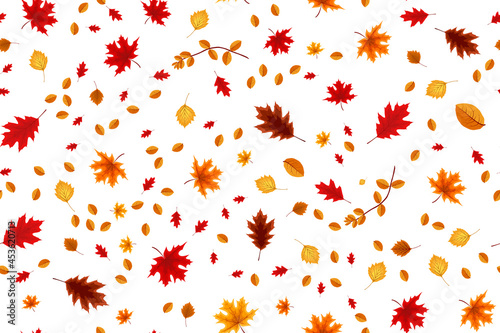 Autumn seamless pattern background with falling leaves. Vector Illustration