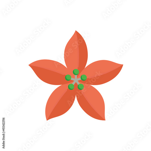 Poinsettia or Euphorbia pulcherrima vector icon. Flowering plants or decorative object for card, gift for celebration in event i.e. merry christmas, holiday, happy new year in december, winter season.