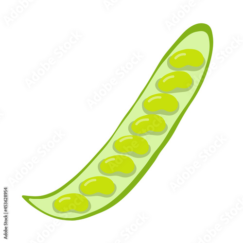 Fresh peas hand-drawn vector illustration. Vegatarian and diet pea . Fresh and organic pease. Vegetarian ingredient for salad.