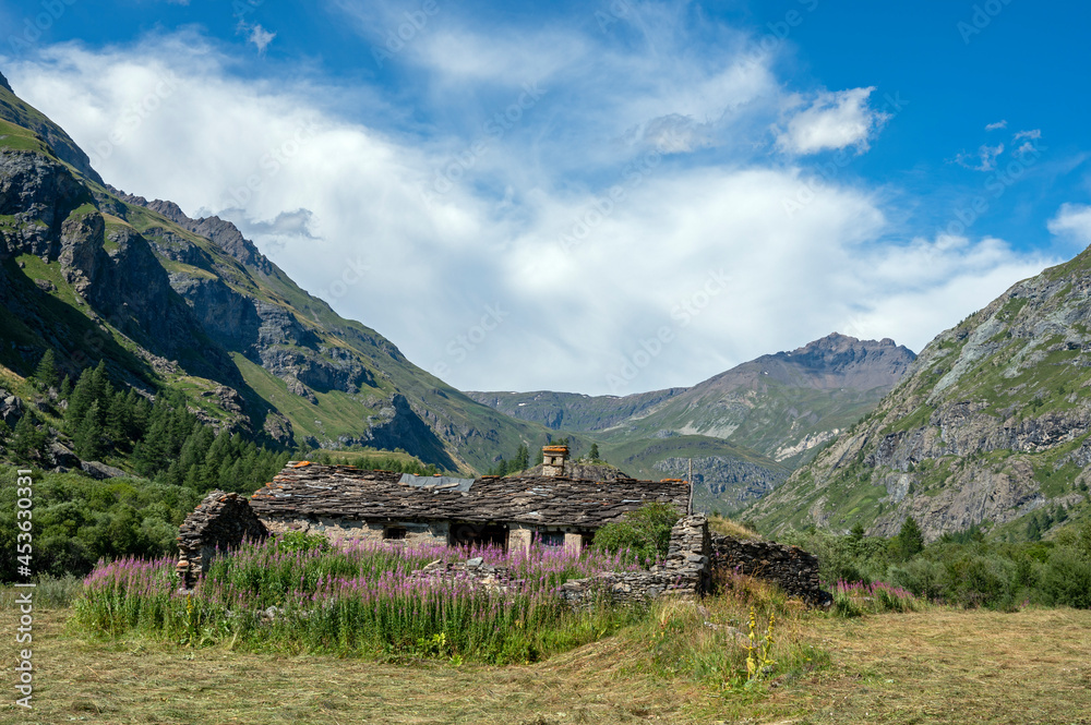 Obraz premium Paysage de montagne dans le Parc national de la Vanoise en été dans le département de la Savoie dans la vallée de l'Arc en france