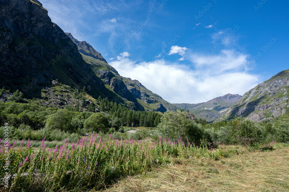 Naklejka premium Paysage de montagne dans le Parc national de la Vanoise en été dans le département de la Savoie dans la vallée de l'Arc en france