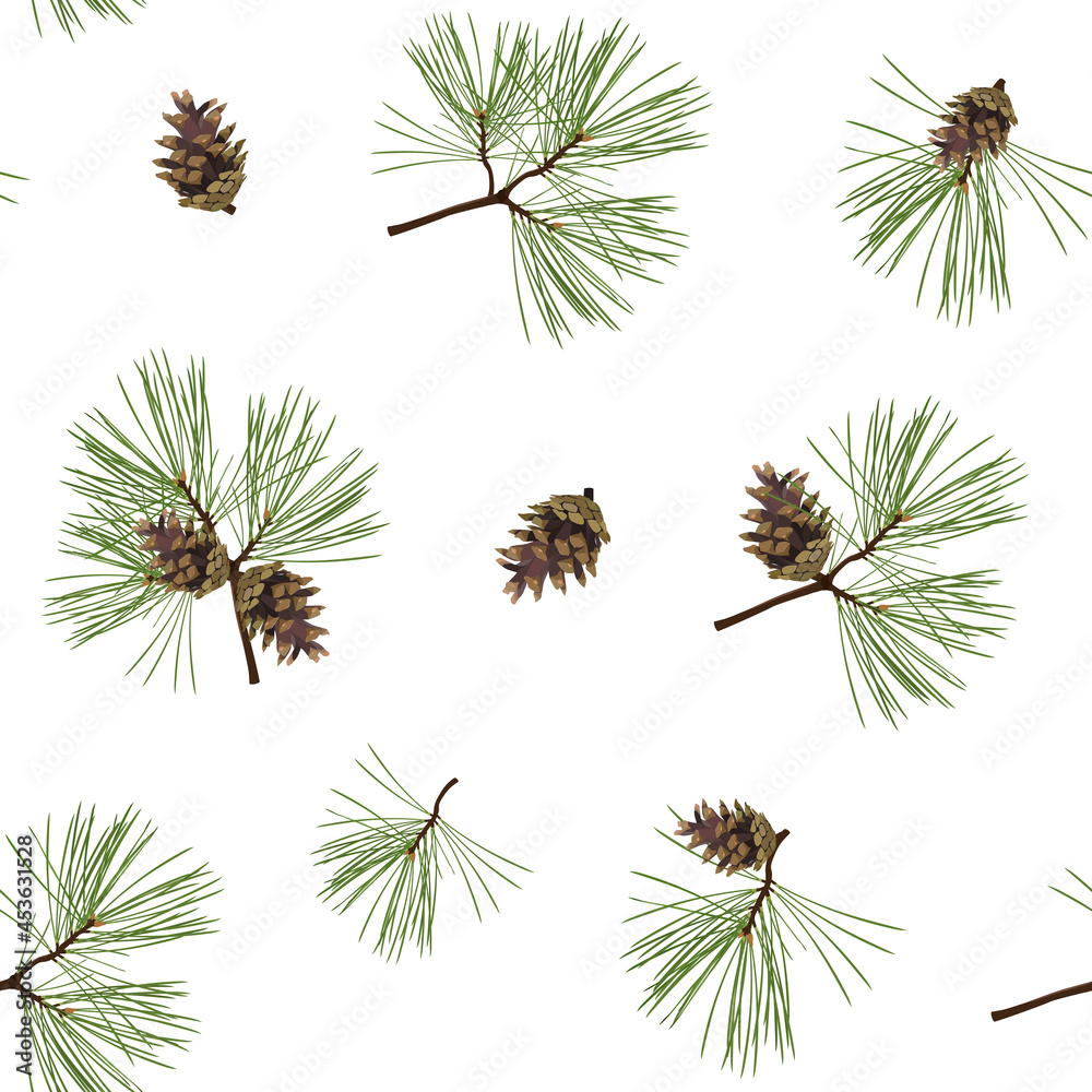 Seamless pattern with pine cones and spruce on a white background. Seamless pattern with pine cones and spruce on a white background.