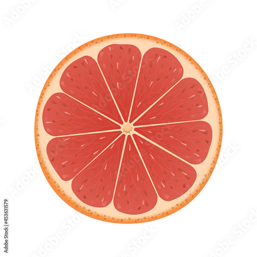 Isolated circle of juicy pink color grapefruit on white background. Vector illustration.