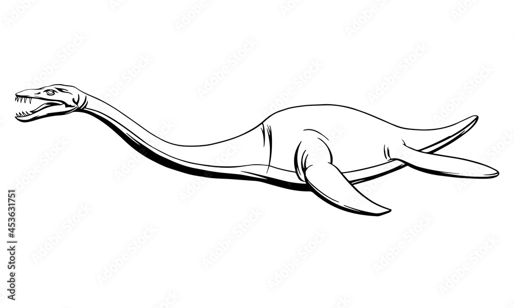 Fototapeta premium Plesiosaur in a linear style, ink drawing.Vector illustration.