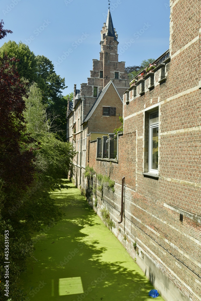 Le refuge de St-Tronc (Refugie van de Abdij van Sint-Truiden) dont les murs baignant dans les eaux vertes le long d'un petit bois au centre historique de Malines 