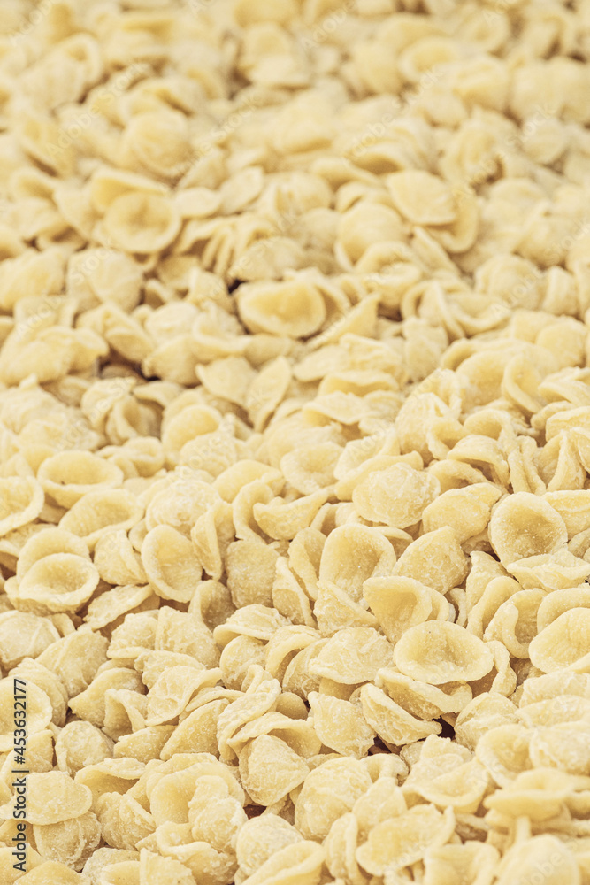 Fresh orecchiette or orecchietta, made with durum wheat and water, handmade pasta typical of Puglia or Apulia , a region of Southern Italy, close up, vertical Fresh orecchiette or orecchietta, made with durum wheat and water, handmade pasta typical of Puglia or Apulia , a region of Southern Italy, close up, vertical