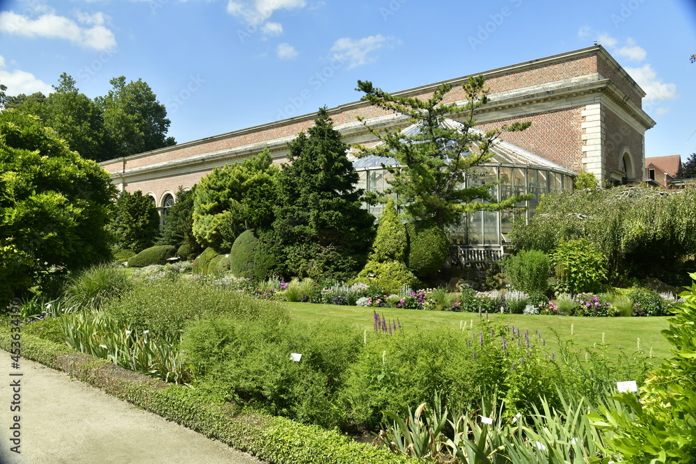 Fototapeta premium Aménagement paysagère à la végétation luxuriante au Jardin Botanique de Louvain (Leuven) en Brabant Flamand 
