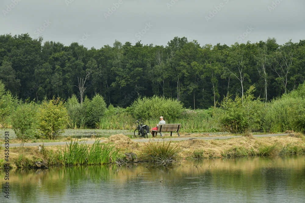 Promenade et repos sur une bande de terre entre deux étangs au domaine provincial de Bokrijk au Limbourg Promenade et repos sur une bande de terre entre deux étangs au domaine provincial de Bokrijk au Limbourg