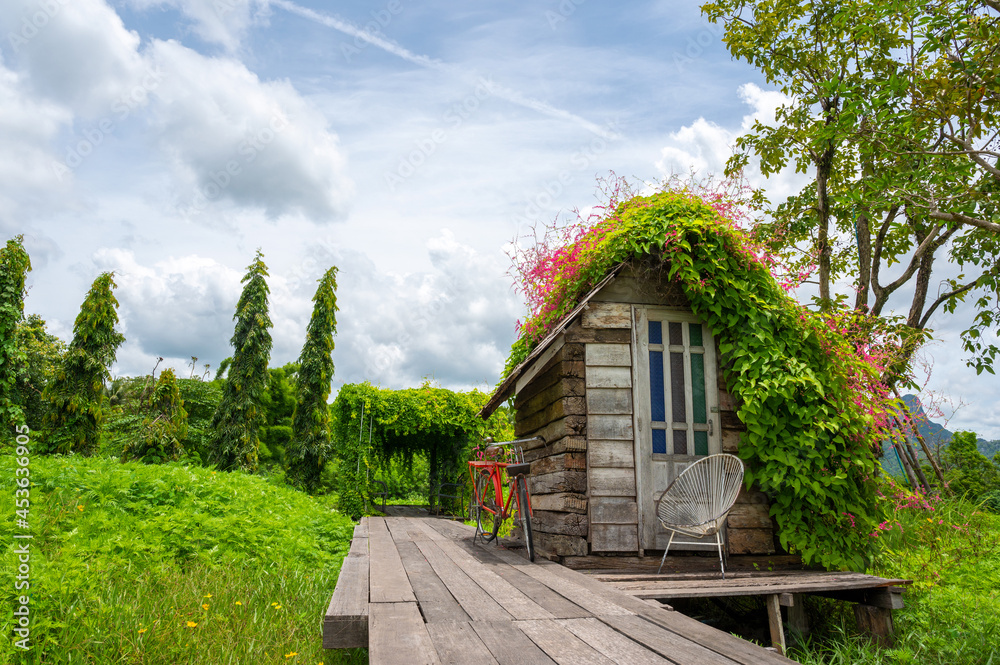 A view of an old wooden hut with beautiful flowers on the top of roof at relax green garden.