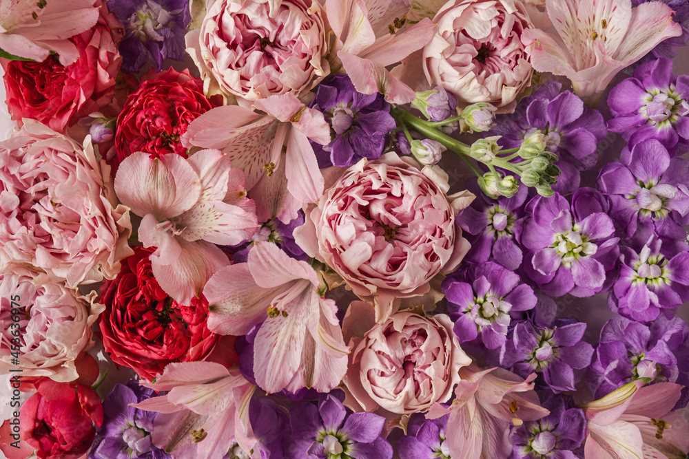 Pink And Purple Flowers Background — free download