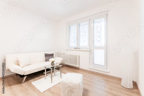 Modernly furnished living room in small city apartment. Simplicity and airiness are main features of the room,which is dominated by sofa with coffee table,there are also small decorative accessories.