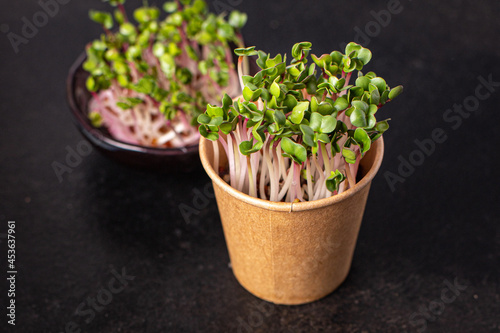 microgreen radish green petals fresh seedlings raw food fresh portion ready to eat meal snack on the table copy space food background rustic. top view keto or paleo diet veggie vegan or vegetarian
