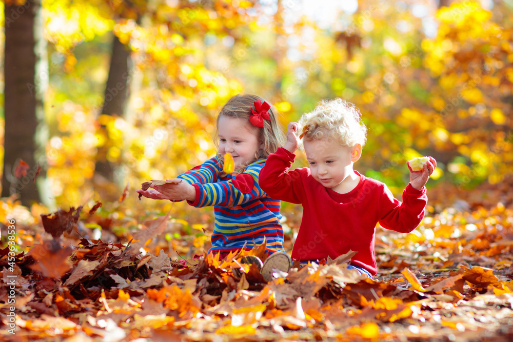 Child in fall park. Kid with autumn leaves. Child in fall park. Kid with autumn leaves.