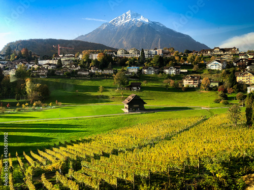 Wallpaper Mural Thunersee, Alpen, Spieler Bucht, Spiez, Weinberge, Niesen, Berg, Herbst, Berge, Berner Oberland, Schweiz, Ausblick, Panorama, Bergpanorama, Torontodigital.ca
