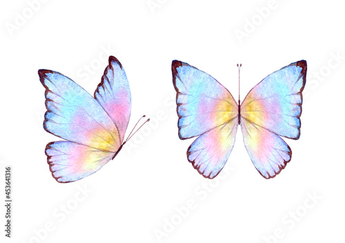Watercolor botanical summer set of multicolor colorful butterflies