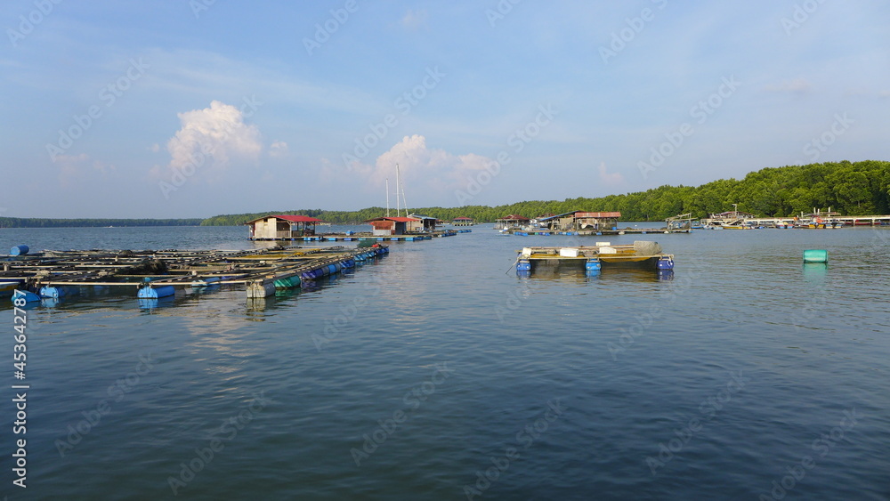 Fototapeta premium view of the harbor