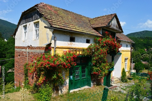 an old house with red creeping roses on one side of the house
